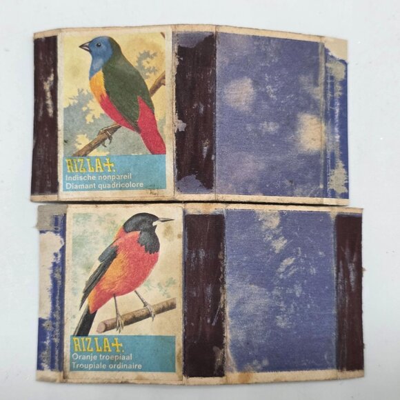 Vintage Bird Illustration Safety Matches Box Oranje Troepiaal, Indische Nonparei - Picture 1 of 6